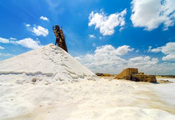 Industrial Salt